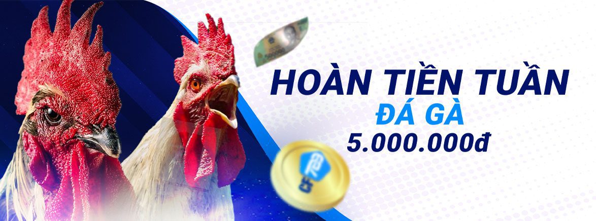 Hoàn tiền tuần Đá gà 5.000.000 đ Hoàn tiền tuần Đá gà 5.000.000 đ