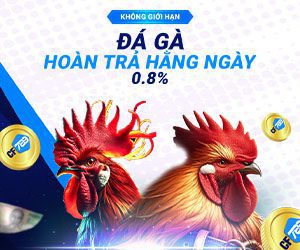 Đá Gà Hoàn trả hằng ngày 0.8%