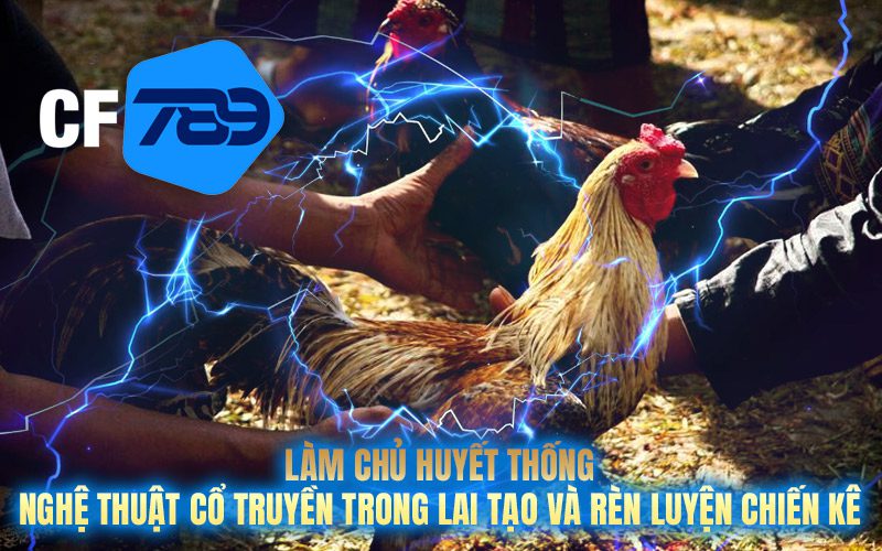 Chiến Thuật Luyện Truyền Thống – “Đi Hơi,” “Vần Đòn” và “Quần Sương” tạo nên chiến binh bất khả chiến bại