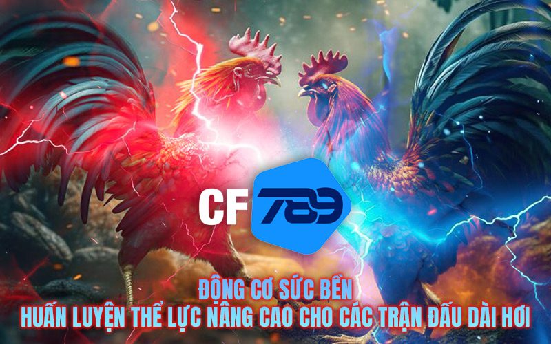 Động cơ sức bền – Huấn luyện thể lực nâng cao cho các trận đấu dài hơi
