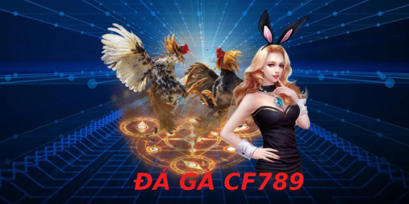 Thông tin tài khoản cung cấp cho CF789 cần chính chủ để rút thưởng độc đắc 