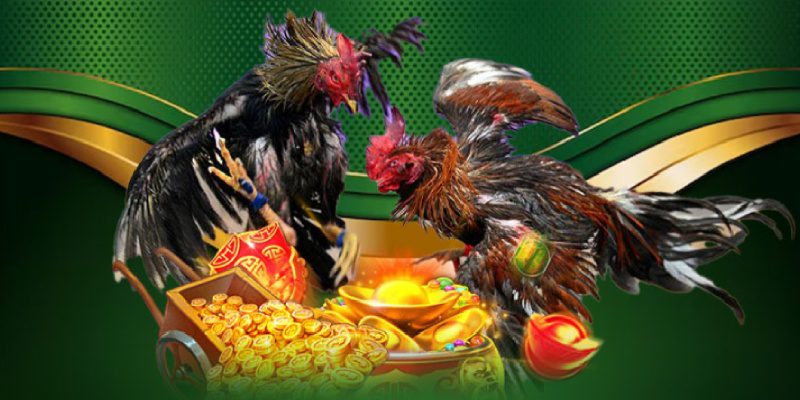 Hàng trăm trận mỗi ngày, quy tụ các giải CP chuyên nghiệp 