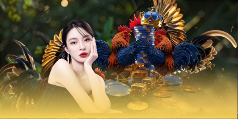 Sảnh SV388 là sân chơi cá cược đá gà chất lượng không bàn cãi 